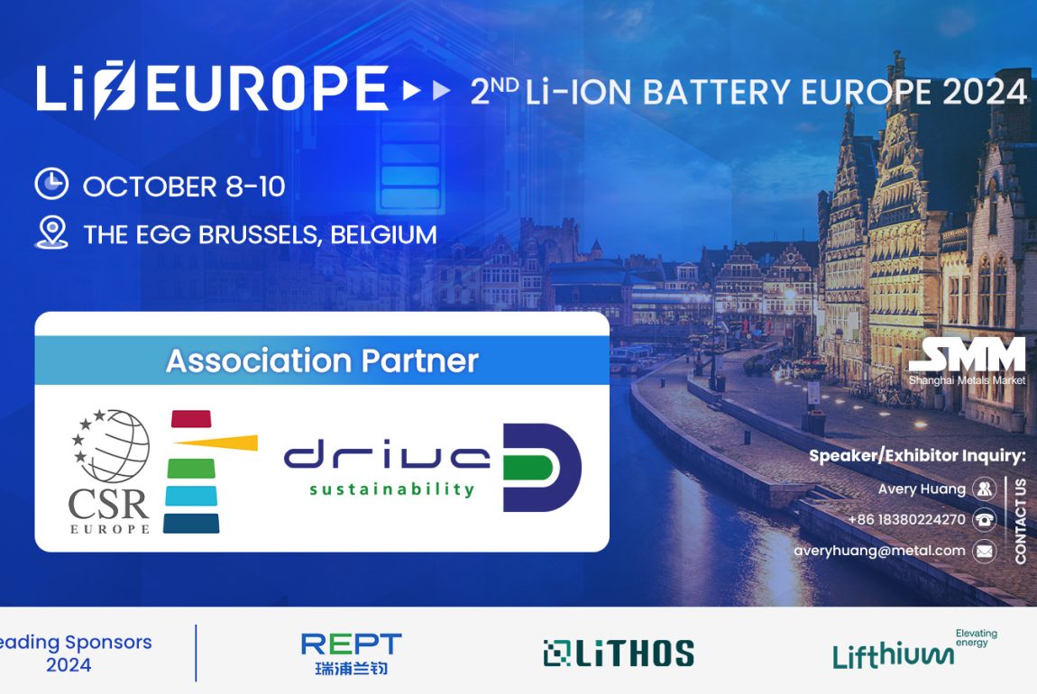 Examen approfondi des batteries Li-ion en Europe 2024 avec un accent sur les batteries LFP