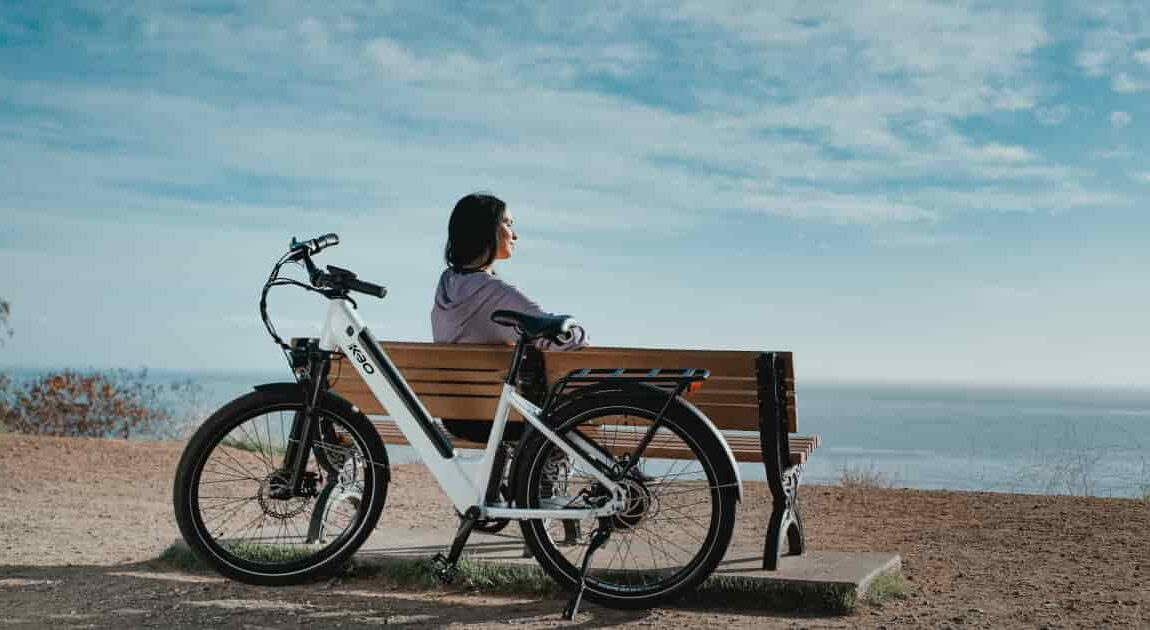 China's E-Bike Lithium BatteryChina's E-Bike Lithium Battery Manufacturing: An Analysis of OEM Industry Advantages